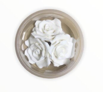 Rose Flowers White