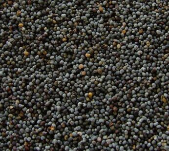 Poppy Seeds 120gms